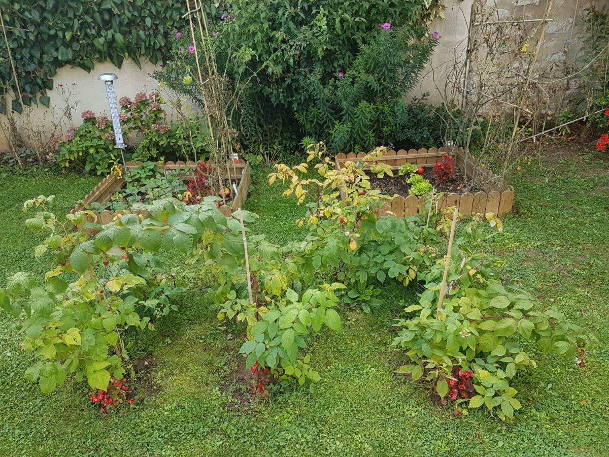 La Montignonne Daire Montigny-sur-Loing Dış mekan fotoğraf