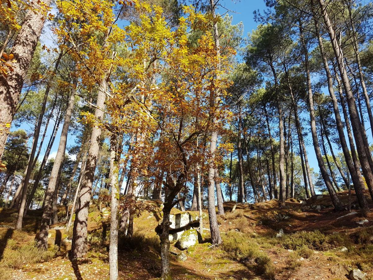 La Montignonne Daire Montigny-sur-Loing Dış mekan fotoğraf